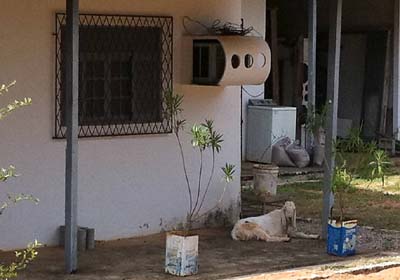 Vigiada por bode, casa sem identificação abriga empreiteira de ex-assessor na Paraíba