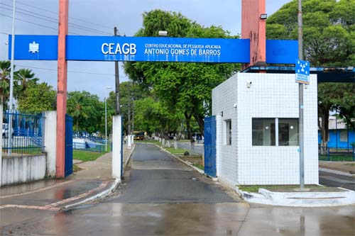 Estudantes da rede estadual participam do 1º Festival de Invenção e Criatividade de Alagoas