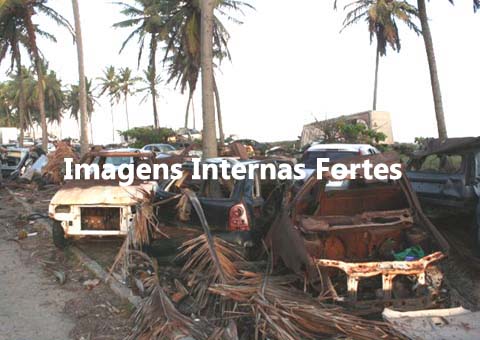 Mulher é estuprada e assassinada em cemitério de automóveis no Detran