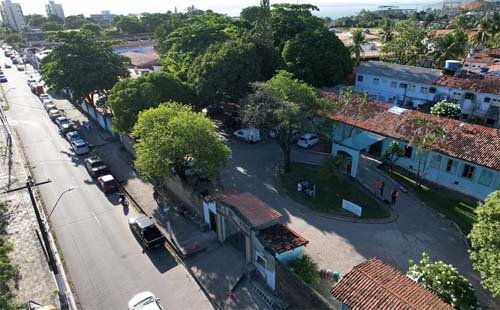 Alagoas não sabe onde tratar seus pacientes psiquiátricos
