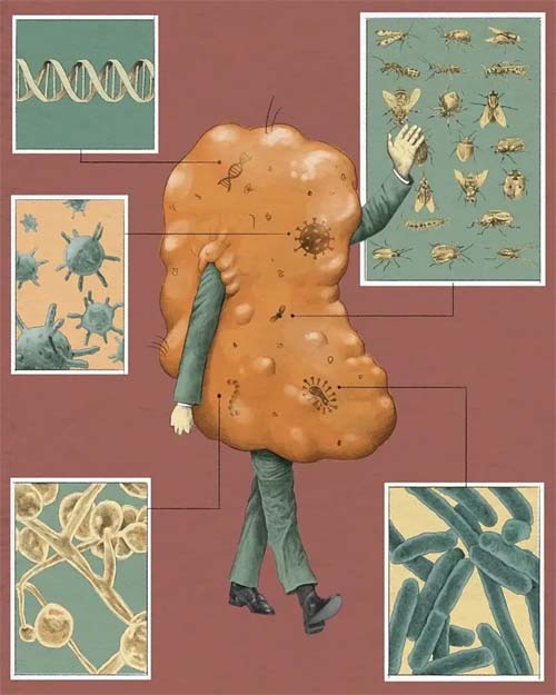 O que a cera do ouvido pode revelar sobre sua saúde