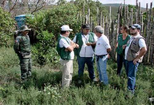 Cercas são derrubadas para garantir área de reserva legal em assentamento 