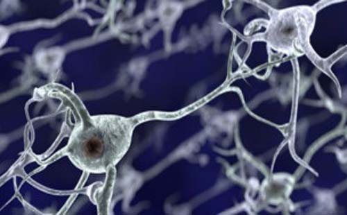 Estudo mostra que cocaína muda estrutura do cérebro em duas horas