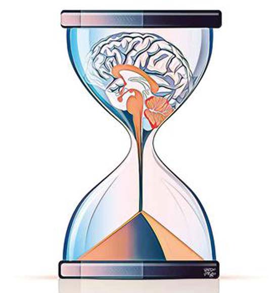 Estudos olham a relação do cérebro com o tempo para entender a memória