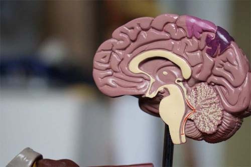 Pesquisadores descobrem composto com potencial para tratamento do Alzheimer