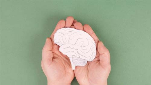 As 5 maneiras que seu cérebro reage aos conflitos