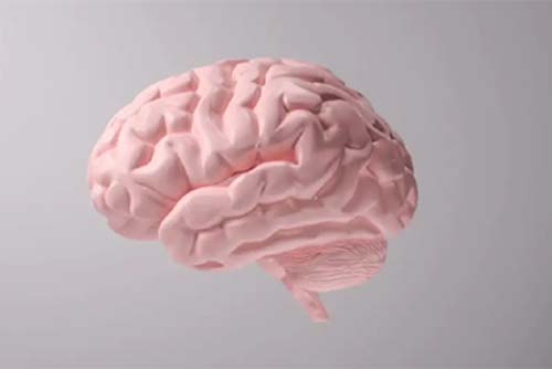 O que a ciência sabe sobre o envelhecimento do cérebro?