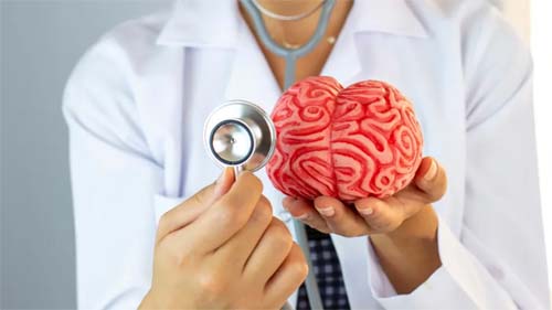 Neurologista revela alimento que consome diariamente para manter o cérebro saudável