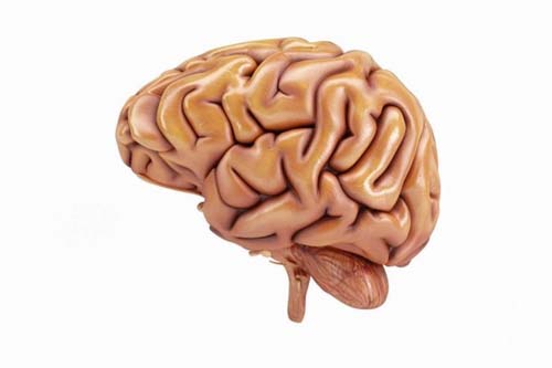 Novo exame detecta mutações genéticas do câncer cerebral em apenas 15 minutos