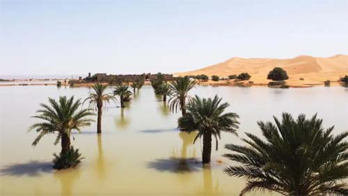 Saara: O que causou a chuva que causou inundações sem precedentes no deserto