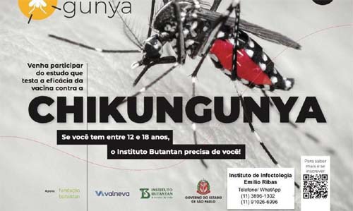Instituto recruta voluntários para teste de vacina contra chikungunya