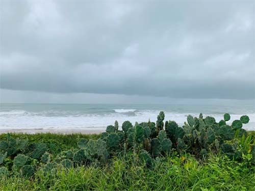 Chuva forte deve atingir cidades de Alagoas até sábado; veja regiões mais afetadas
