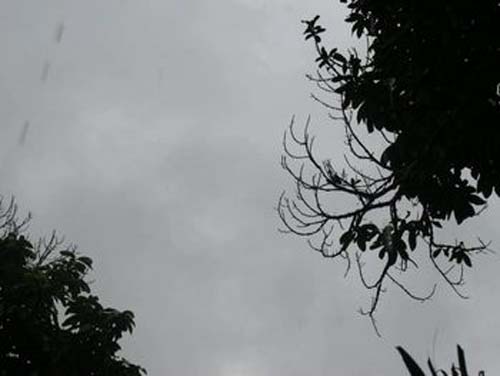 Defesa Civil de Maceió monitora chuvas na capital