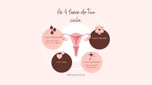 Ciclo menstrual leva a alterações estruturais no cérebro, diz estudo