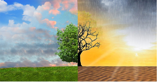 A quem interessa atacar a ciência? E por quê