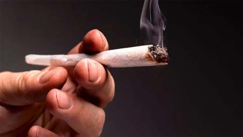 O que é o transtorno por uso de cannabis, que afeta até 20% dos usuários de maconha