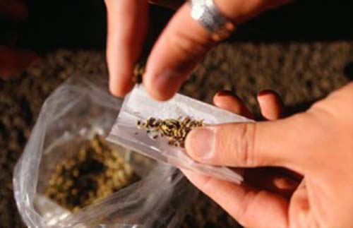 Mau negócio: Homem diz que foi preso porque maconha baixou de preço