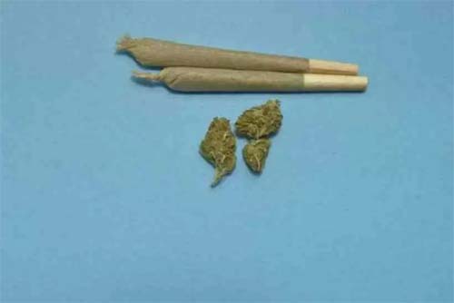 Norte-americanos estão fumando mais maconha do que tabaco, diz estudo