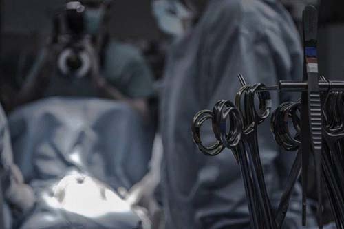 Primeiro transplante de rim animal para ser humano é realizado nos EUA