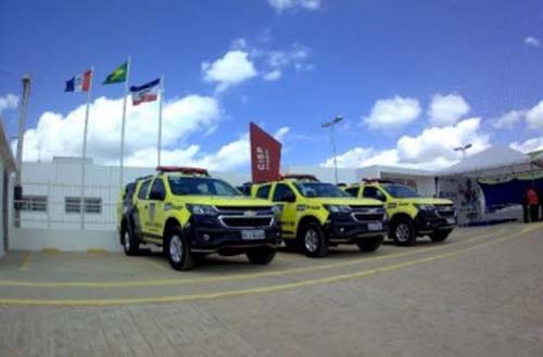 Operação prende homens em flagrante com plantação de maconha, em AL