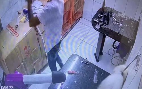 Justiça decreta prisão preventiva de homem que matou cachorro durante tosa em Maceió