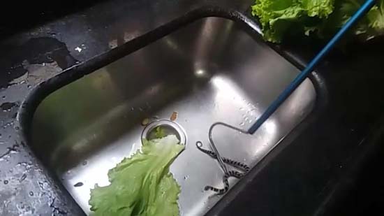 Dona de casa do DF encontra cobra de 40 cm enquanto lavava alface