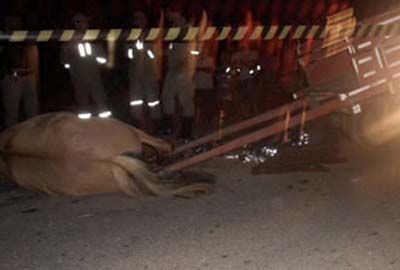 Motociclista morre ao colidir com carroça de burro na AL-115