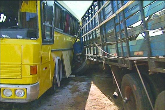 Ônibus de turismo que seguia de Arapiraca para São Paulo colide com caminhão de transporte de gado