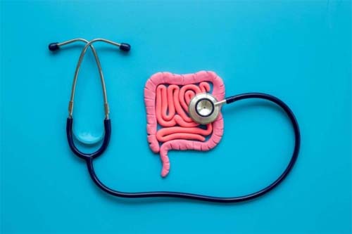 Colonoscopia: exame essencial na prevenção do câncer colorretal