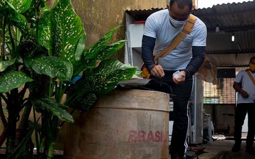 Maceió registra crescimento de mais de 85% dos casos confirmados de dengue