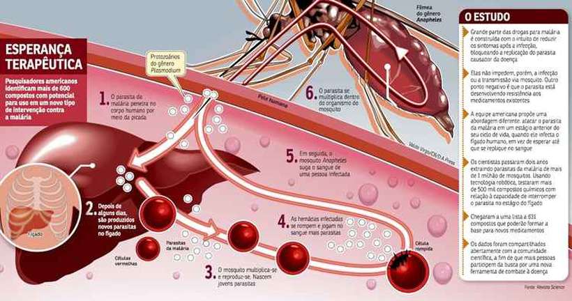 Cientistas elaboram nova estratégia para combater a disseminação da malária