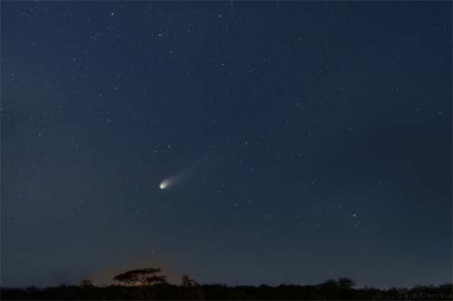 'Cometa do Diabo' poderá ser visto no Brasil a partir deste domingo (21)