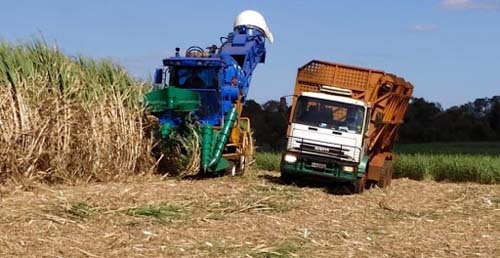 Safra 20/21 já está com todas as usinas alagoanas em operação