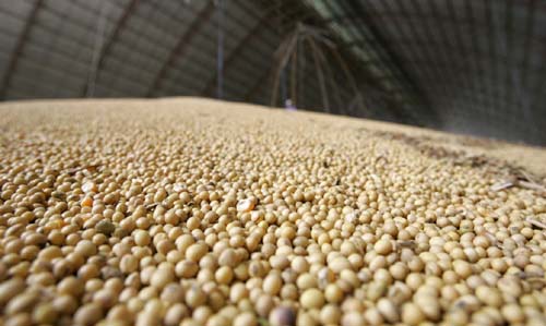 Agência Brasil explica: o que são commodities