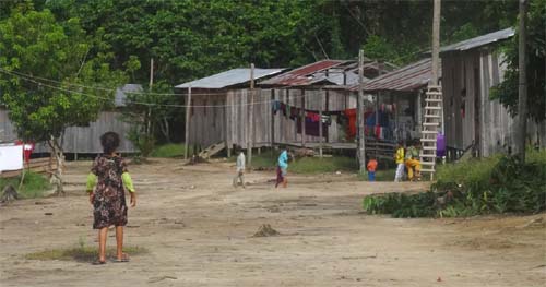 Consumo de carne de caça traz benefícios para a saúde de crianças ribeirinhas na Amazônia