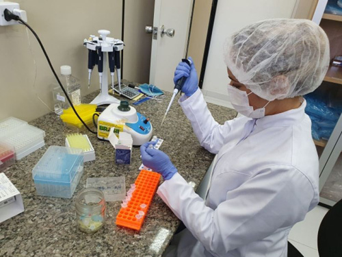 Alagoas começa a inserir perfis genéticos de condenados em banco nacional