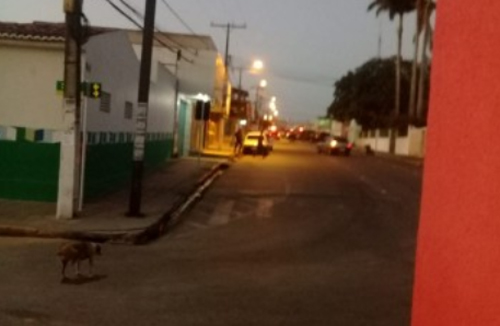 Nove suspeitos de assalto a banco foram mortos durante operação no Agreste