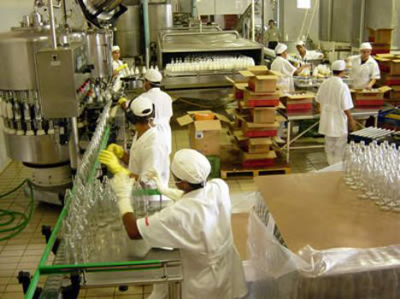 Cooperativa contesta denúncia de trabalho escravo