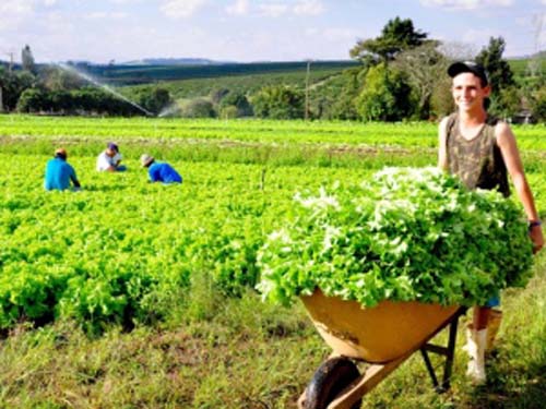 Unicafes Alagoas realiza programa de educação em cooperativismo