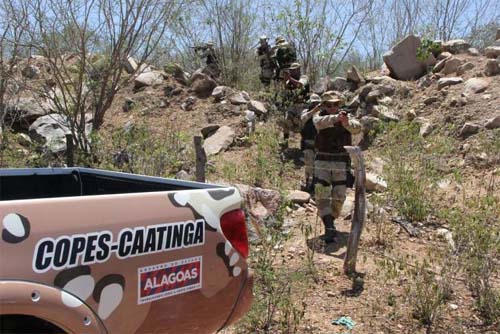 Operação policial no interior de Alagoas resulta na morte de suspeito após troca de tiros