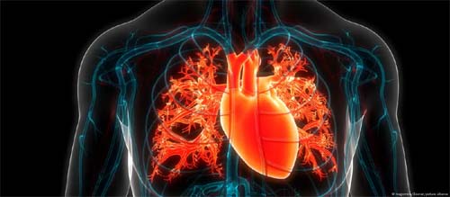 Novo estudo relaciona plásticos com doenças cardíacas e aponta 350 mil mortes em 2018