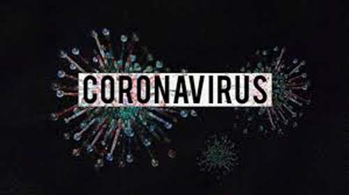 Covid-19: mortes somam mais de 228 mil e casos, 9,3 milhões