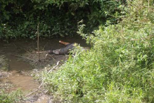 Viçosa: Corpo é encontrado dentro de vala no Povoado Dourada