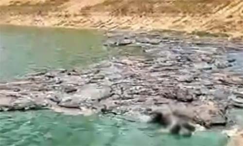 Corpo de homem é encontrado em estado de decomposição em São Miguel dos Campos