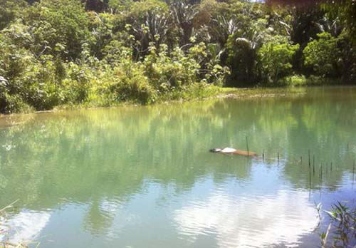 Corpo é encontrando boiando em açude de Estrela de Alagoas