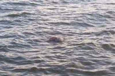 Corpo de homem é encontrado boiando na Lagoa Mundaú