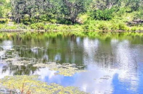 Corpo de homem é encontrado com pernas e pescoço amarrados, no Agreste