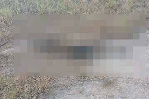 Encontrado corpo em avançado estado de decomposição na mata de Maceió pode pertencer a jovem desaparecido