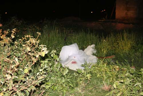 Assassino tenta esconder corpo da vítima após crime em Marechal