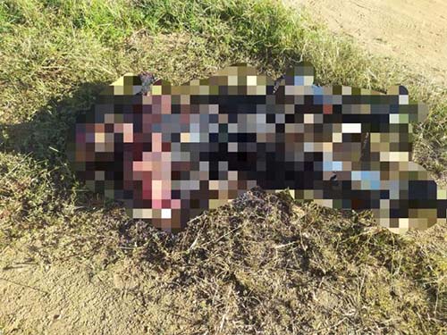 Corpo é encontrado carbonizado e sem braços em cidade do sertão